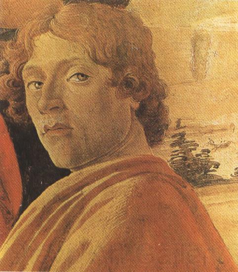Sandro Botticelli Young man in a Yellow mantle (mk36) Norge oil painting art